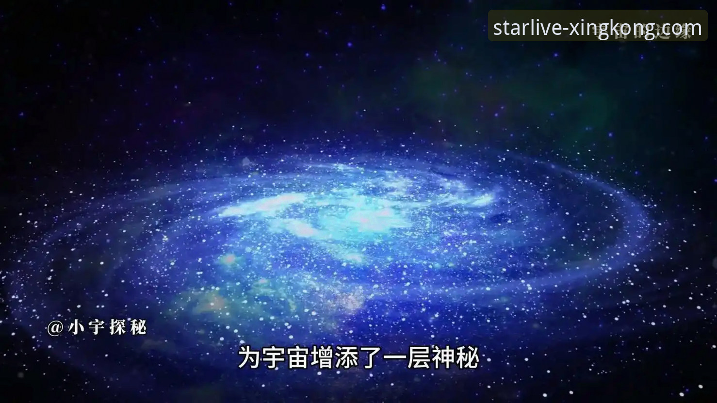 技术评测：资深用户分享星空体育平台下载与赛事直播的实战经验